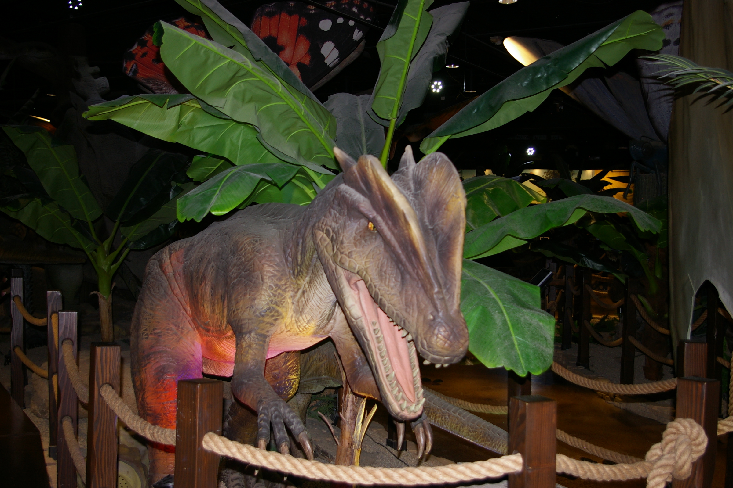 VDilophosaurus